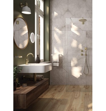 TEMISTO Hand Shower, 1-Function