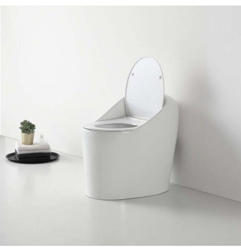 Egg Shaped WC Toilets...