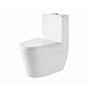 Modern Dual Flush Ceramics...