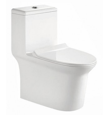 White Bathroom Colored Toilet