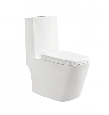White One Piece Toilet