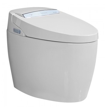 Ceramic Vacuum Flush System...