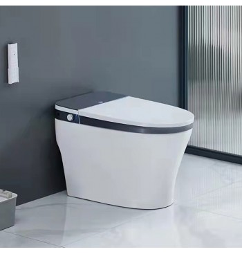 Bathroom One Piece Auto...