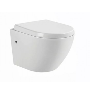 Wall Hung Toilet Ceramic With European Standard